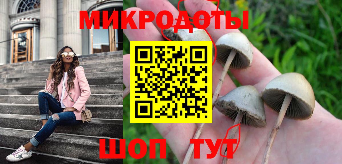 Грязи  Галлюциногенные грибы GOLDEN TEACHER  Псилоцибиновые грибы GOLDEN TEACHER  Вход с VPN 