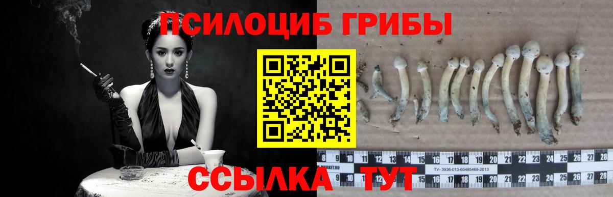 Галлюциногенные грибы MAGIC MUSHROOMS Грязи